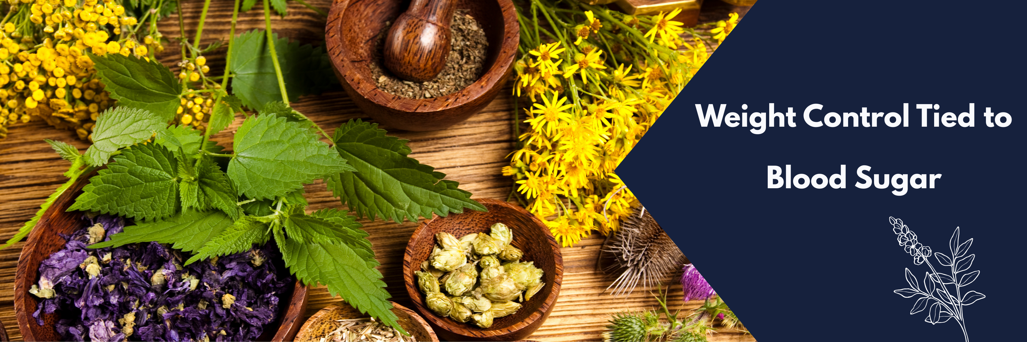 Strong Connection Between Weight Management & Blood Sugar